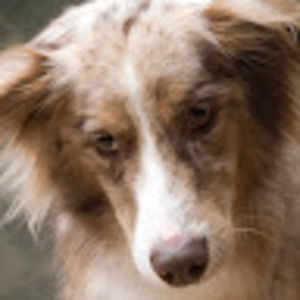 Meet your Posher, Marsha